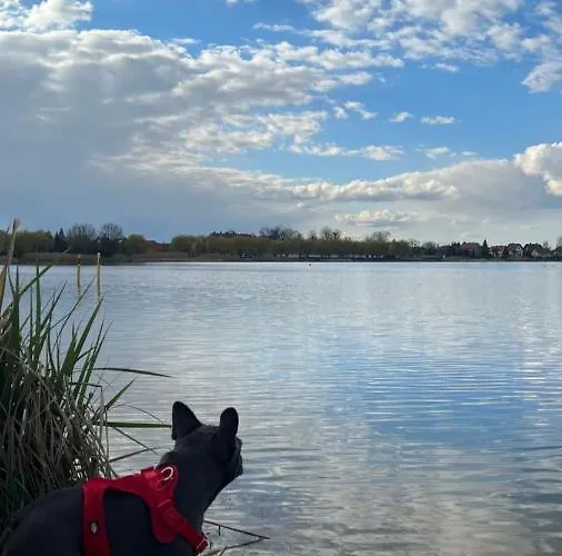 Σπίτι διακοπών Casas De La Playa *